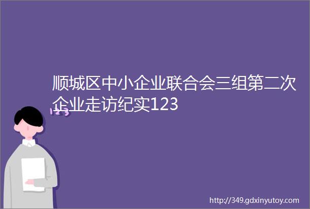 顺城区中小企业联合会三组第二次企业走访纪实123